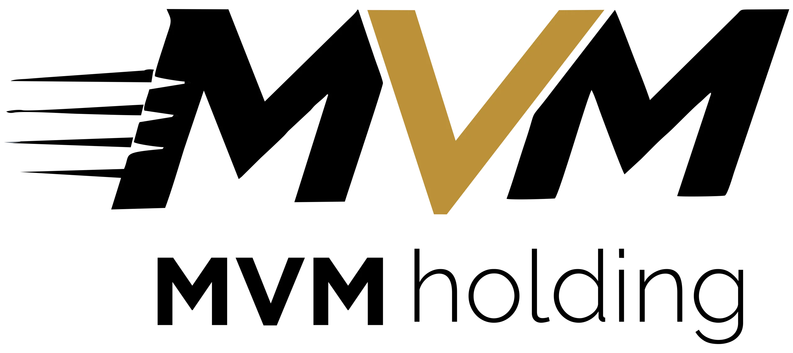 MVM_Holding_logo_white copy